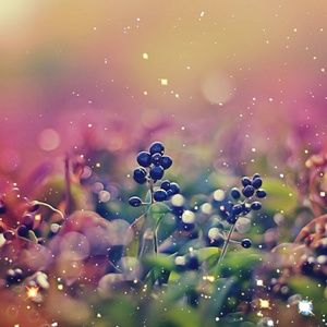 Meet your Posher, Kimberlee